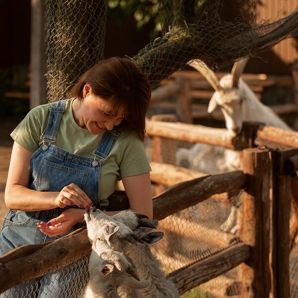 Une femme caresse une chèvre dans un enclos de zoo, créant un moment de tendresse entre l'animal et l'humain.