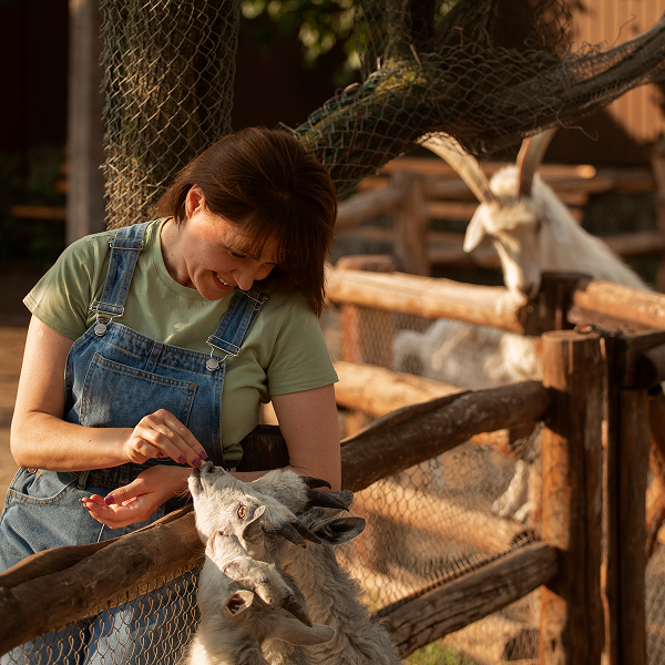 A woman gently pets a goat inside a pen at Granby Zoo, showcasing an interaction between human and animal.